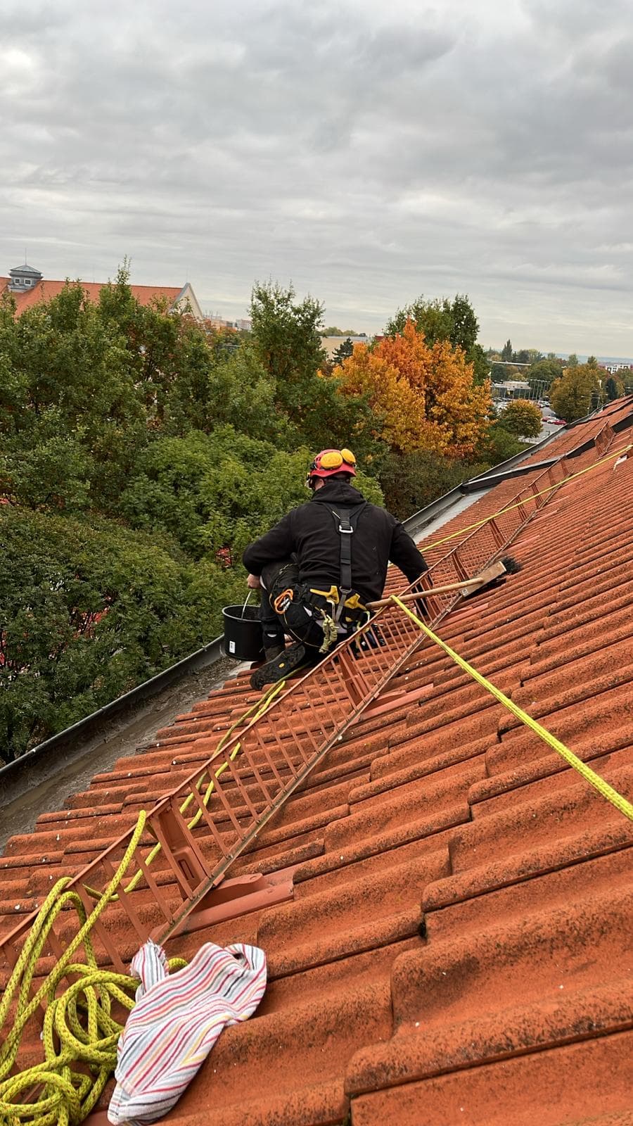 Havárijní kácení stromu