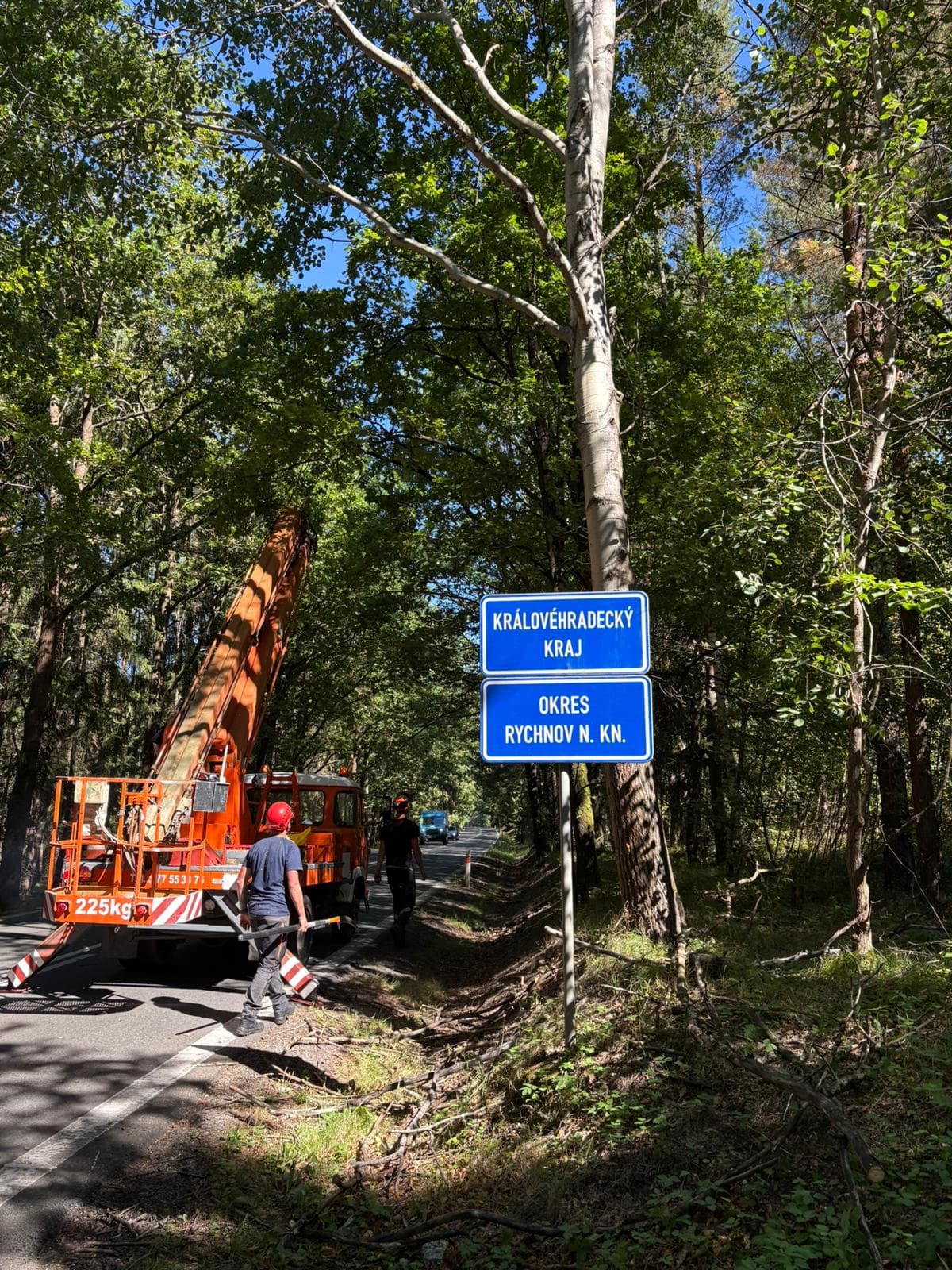 Havárijní kácení – odstranění nebezpečného stromu