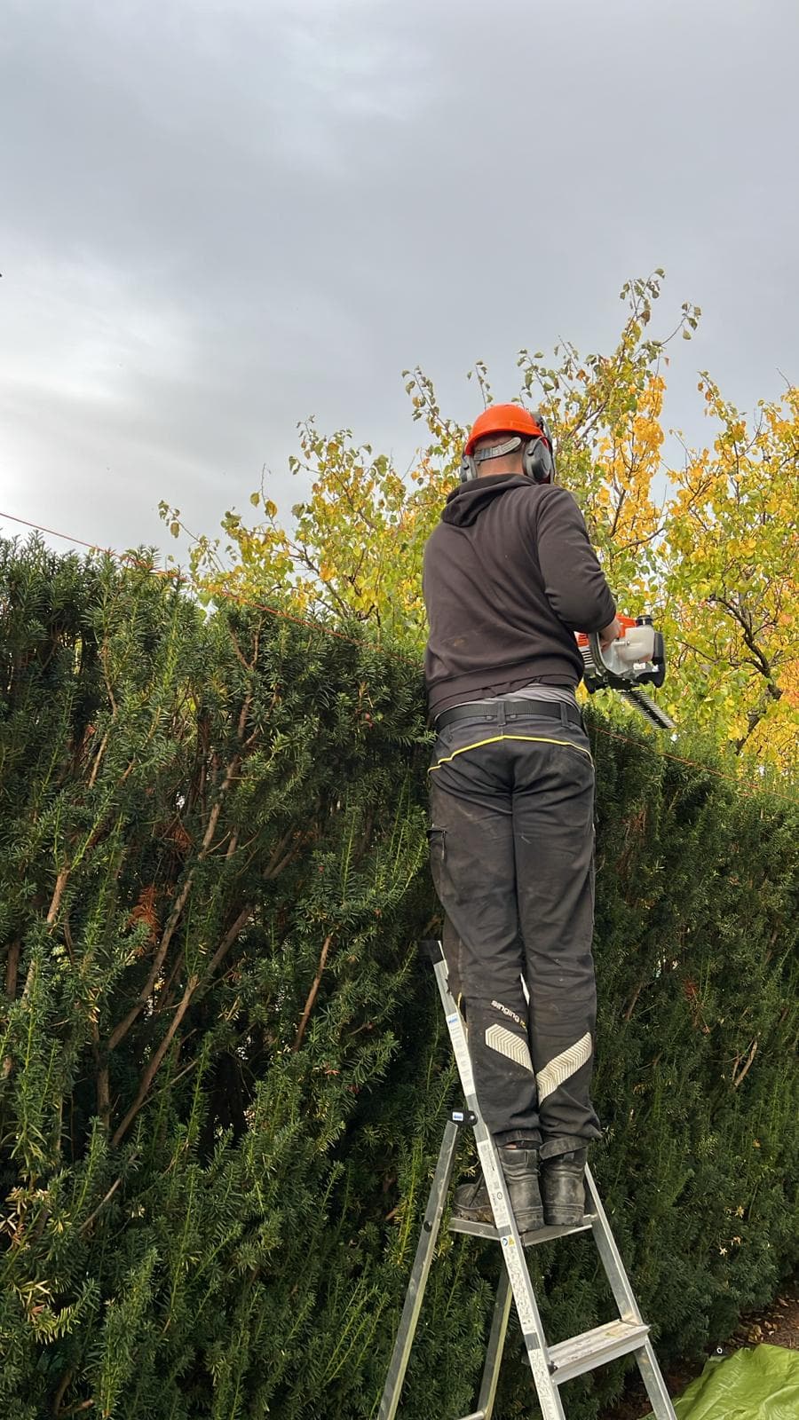 Péče o zahradu a zeleň