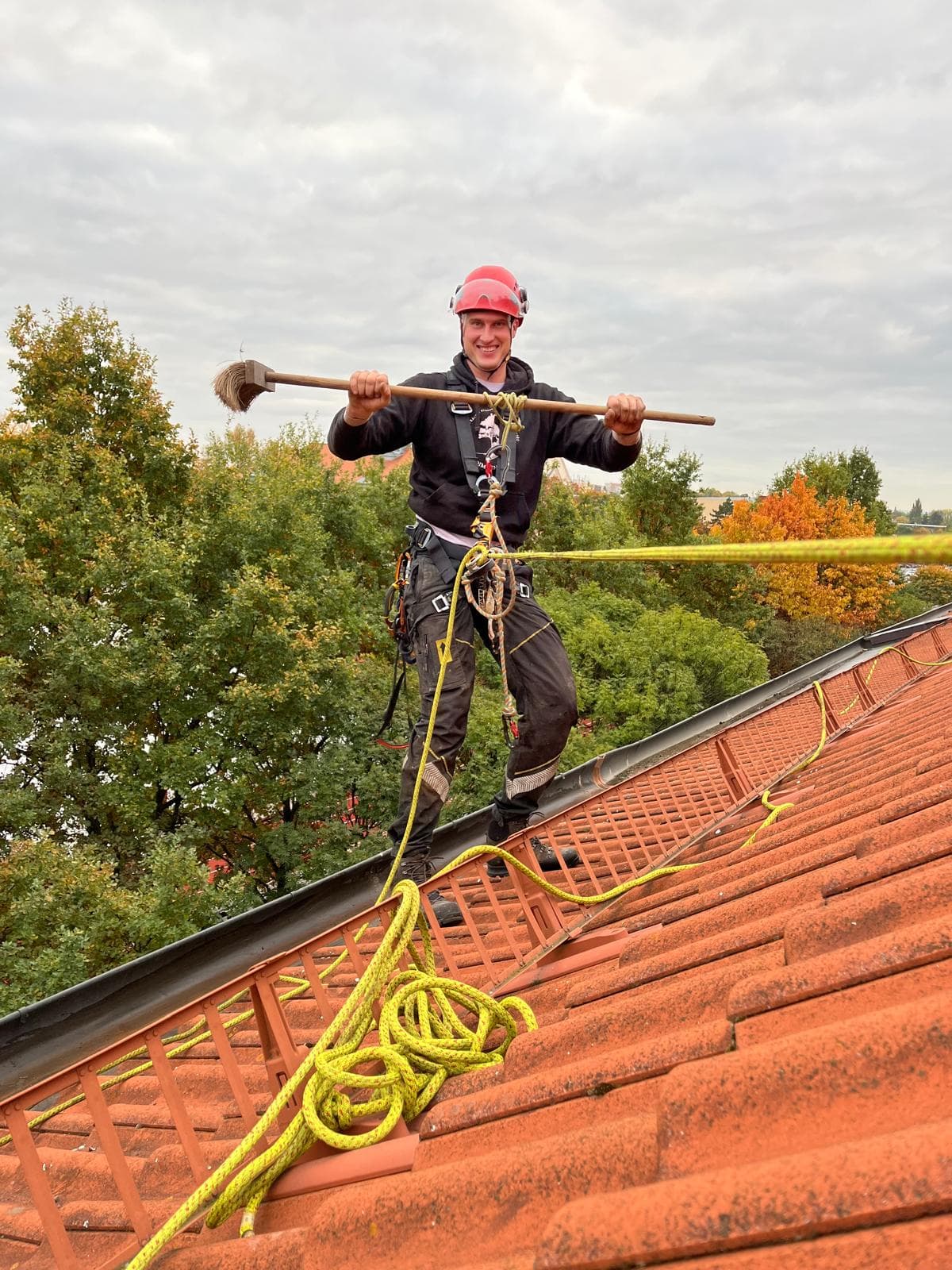 Údržba stromů a keřů