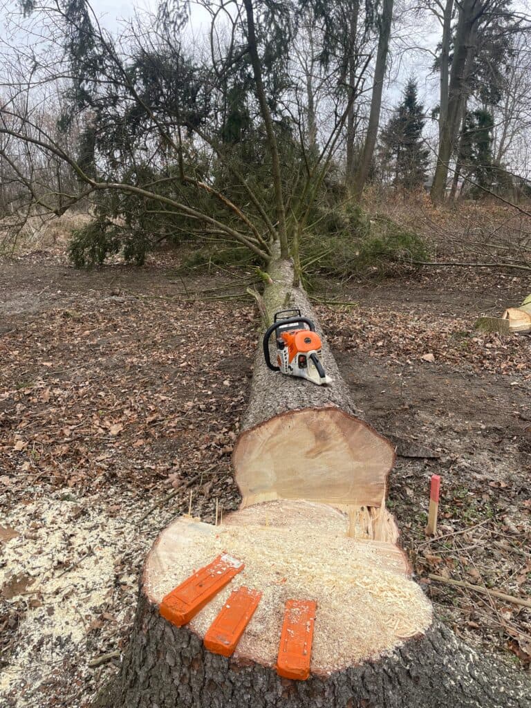 Kácení stromů Pardubice - profesionální arboristické práce